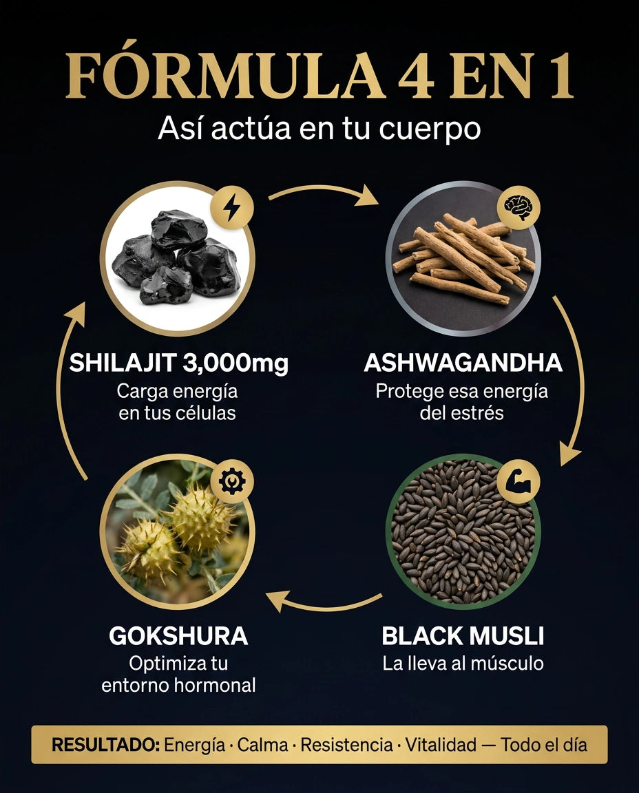 VitaZen™ - Energía, vitalidad y resistencia que no sentías en años